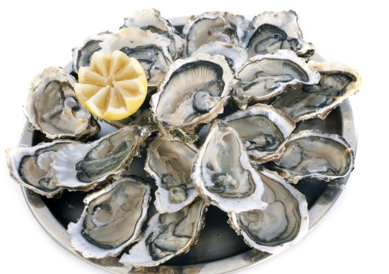 Just The Tip Tuesday: When Are Oysters The Best?