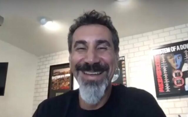 System of a Down Singer Serj Tankian Is a Recovering Video Game Addict