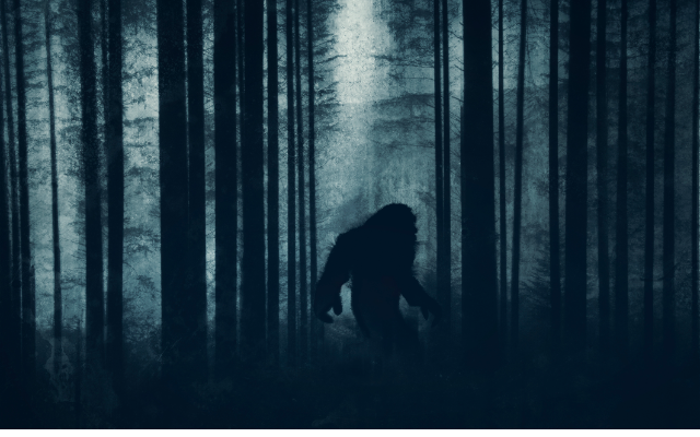 Did an Ohio Woman Get the First Audio Recording of Bigfoot?