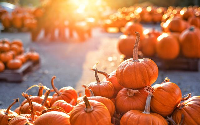 First Day of Fall, Here’s Facts & Traditions!