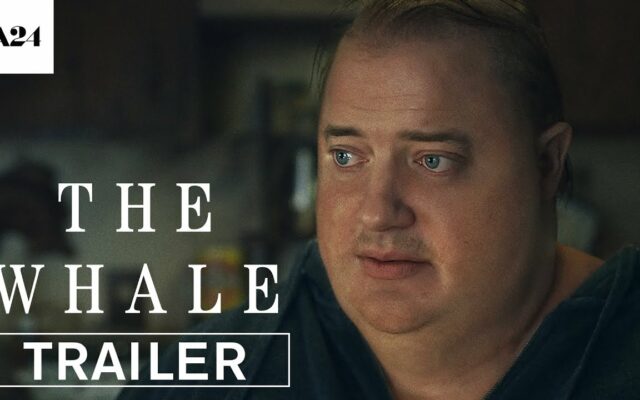 WATCH: The First Trailer For Brenda Fraser’s “The Whale”